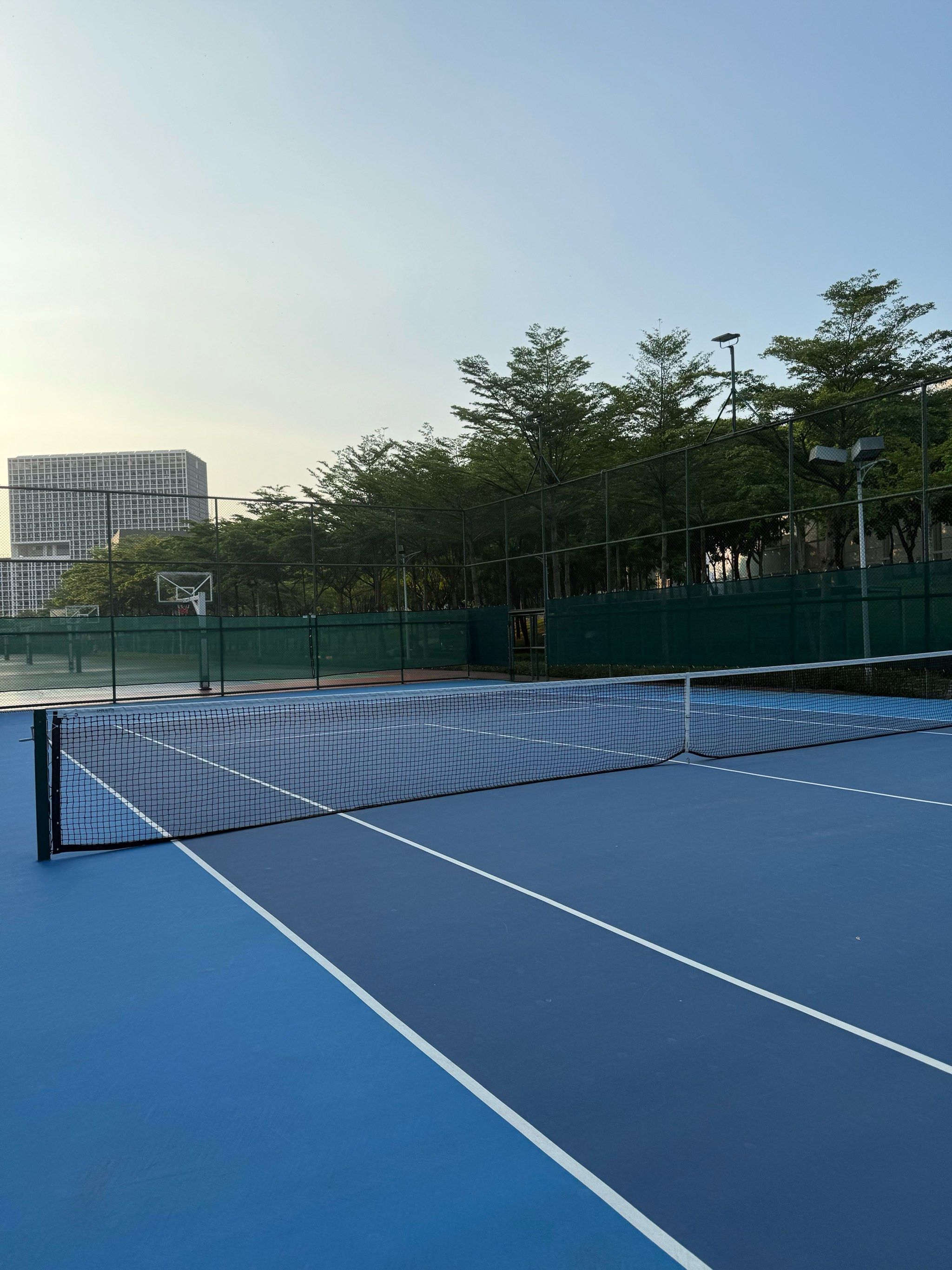 形成互补 形成互补